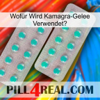 Wofür Wird Kamagra-Gelee Verwendet 29